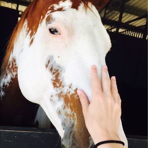 Meet your Posher, Eva