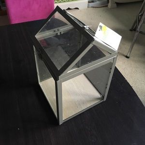 glass terrarium