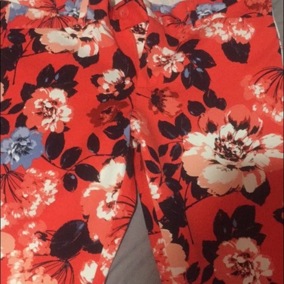 Capris - Picture 4 of 4