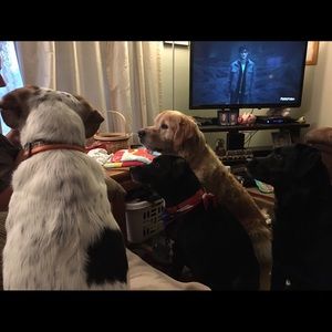 Meet your Posher, Tami