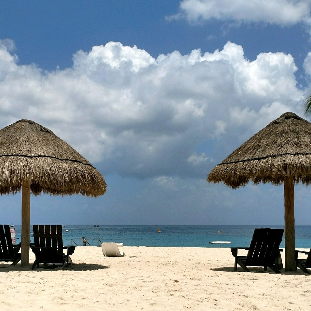 Meet your Posher, Leighann