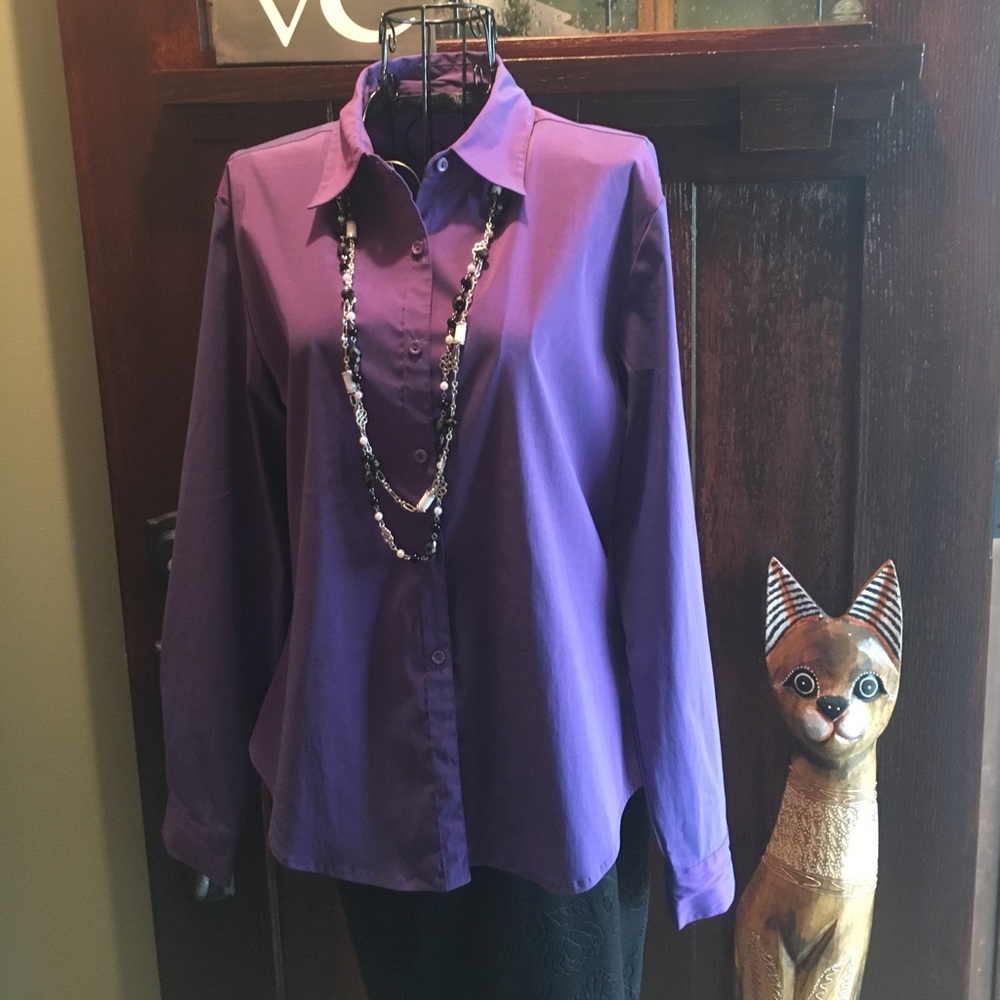 Gorgeous Solutions New York No-Iron top!❤️