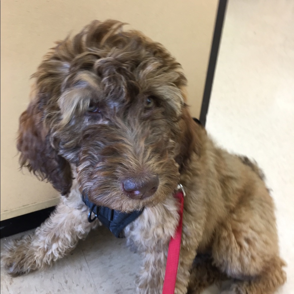 Meet your Posher, Tina