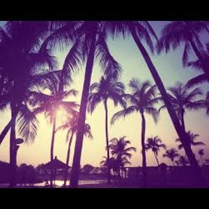 Meet your Posher, Daisy