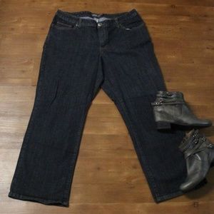 Venezia dark wash jean size 3 (red triangle)