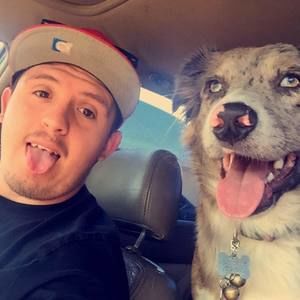 Meet your Posher, Luis