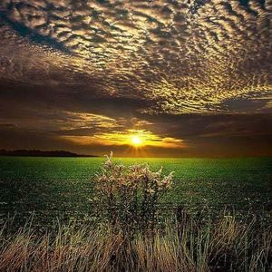 Meet your Posher, Bobbi