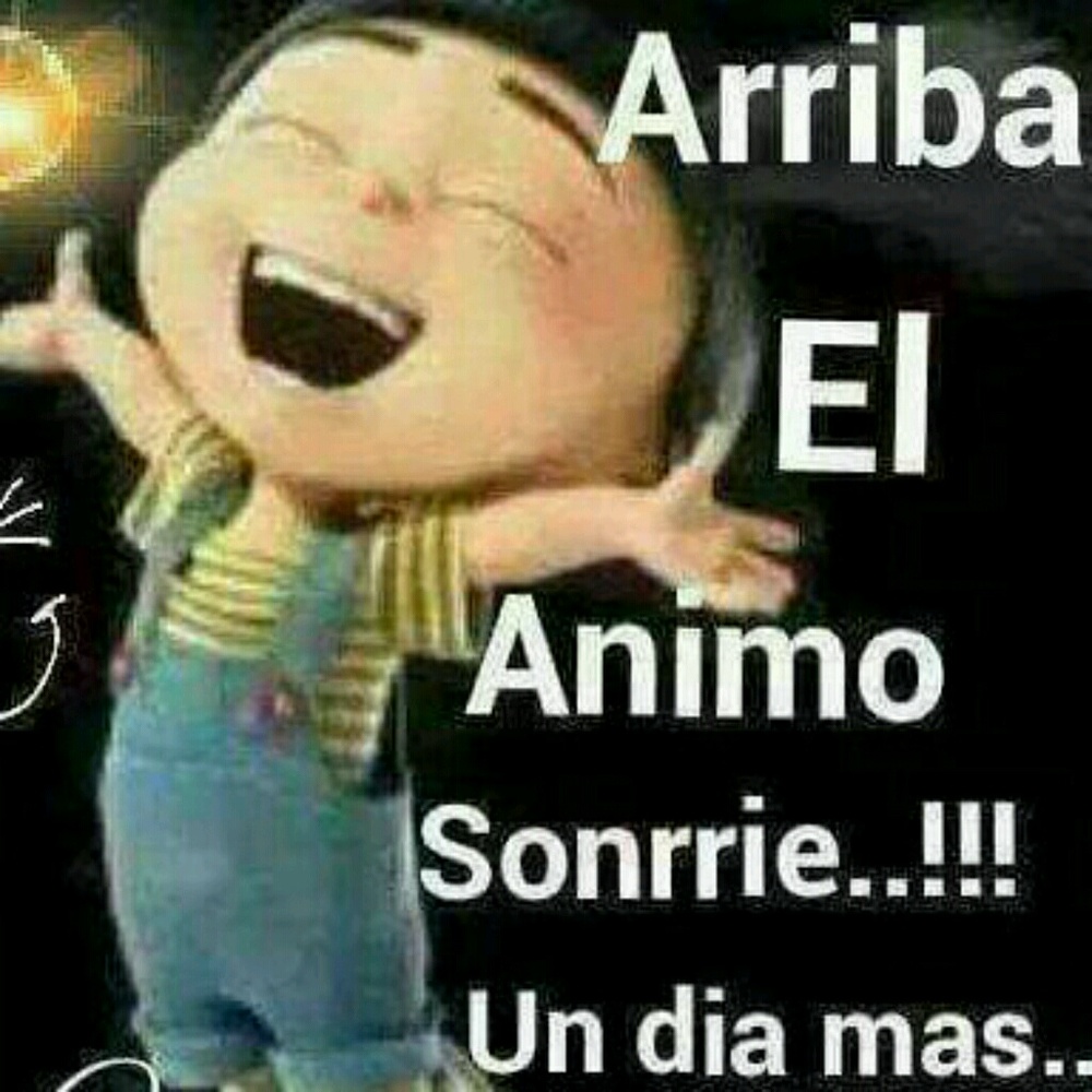 Meet your Posher, Delia