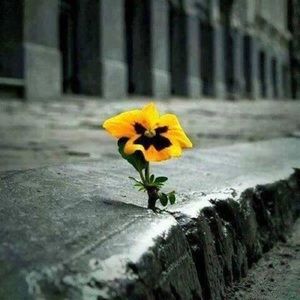 Meet your Posher, Alicia