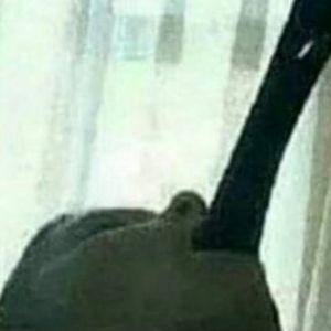 Meet your Posher, Marina