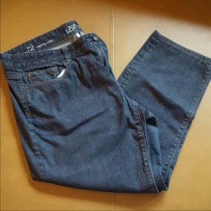 Ann Taylor LOFT Curvy Crop Denim