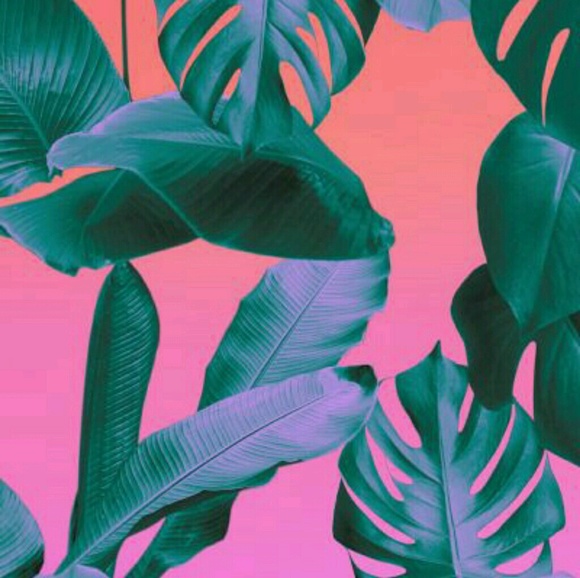 Meet your Posher, Eleanor - Picture 1 of 1