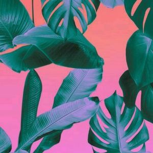 Meet your Posher, Eleanor