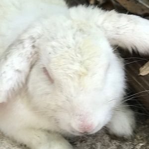 Meet your Posher, Marcus