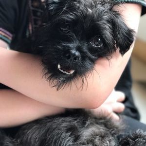 Meet your Posher, Ava