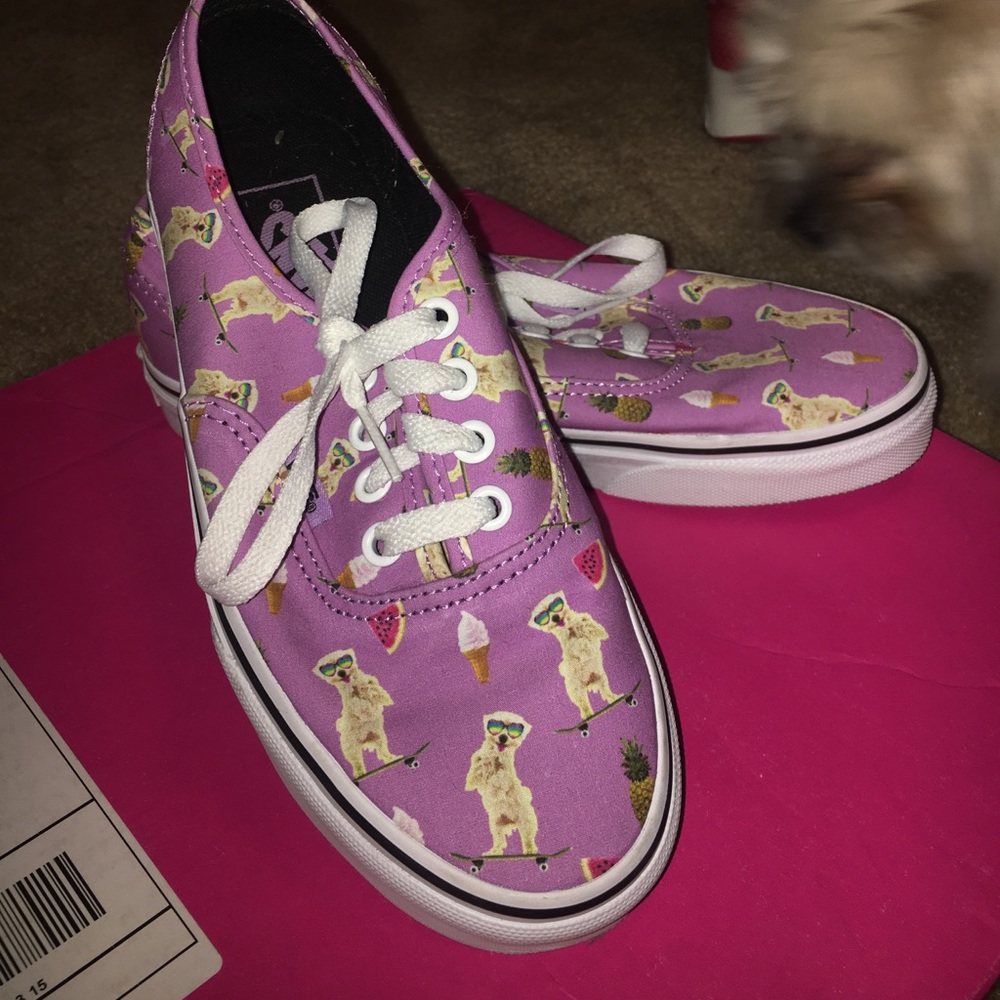 Skateboard vans