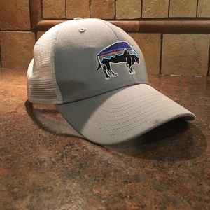 Men's Patagonia Fitz Roy trucker hat