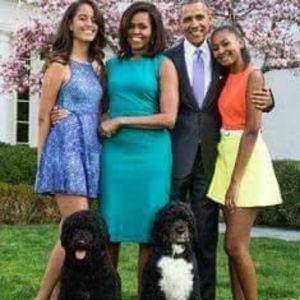 Meet your Posher, Sybil