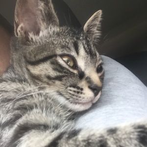 Meet your Posher, Grace