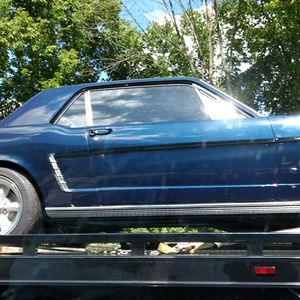 Meet your Posher, Tina