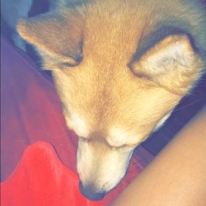 Meet your Posher, Brenna