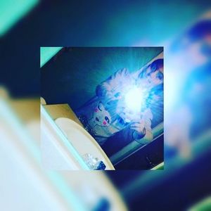 Meet your Posher, Fatima