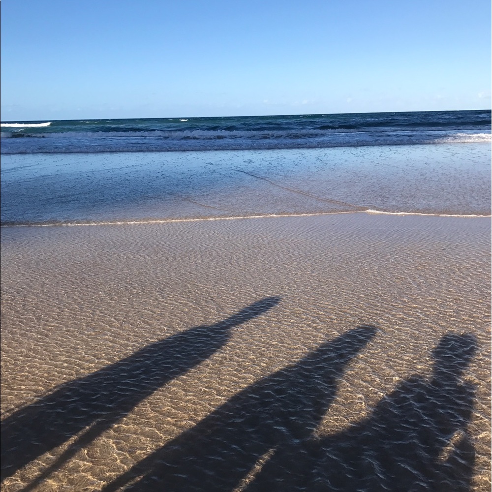 Meet your Posher, Madeline