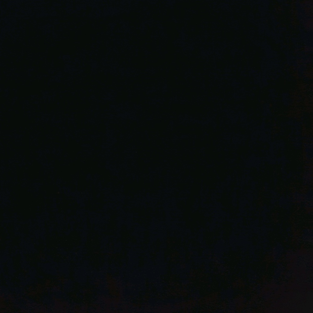 Meet your Posher, Viv