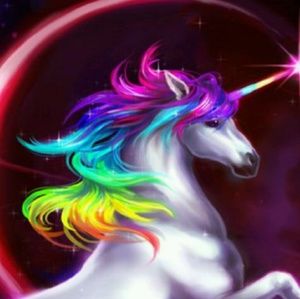 Meet your Posher, Camryn