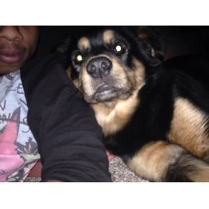 Meet your Posher, Mark