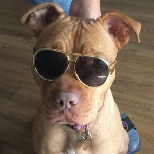 Meet your Posher, Jackie