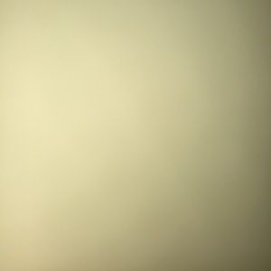 Meet your Posher, Liv