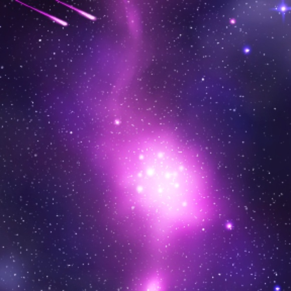 Meet your Posher, Angelina