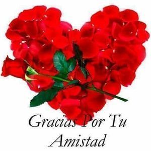 Meet your Posher, Gabriela