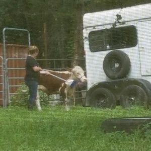 Meet your Posher, Susan