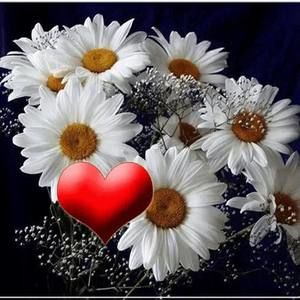 Meet your Posher, Alina