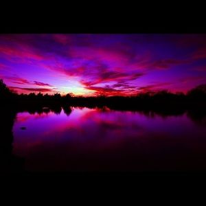 Meet your Posher, Mari rosie