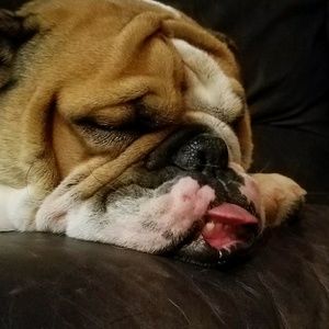 Meet your Posher, Heather