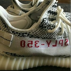 Yeezy boost 350 v2