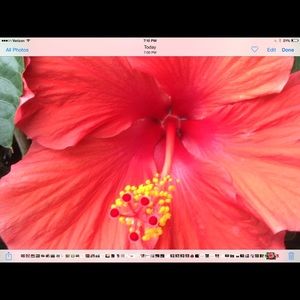 Meet your Posher, Mary