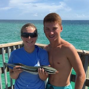 Meet your Posher, Macey