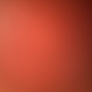 Meet your Posher, Ali