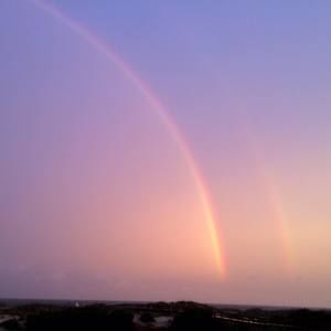 Meet your Posher, Jana