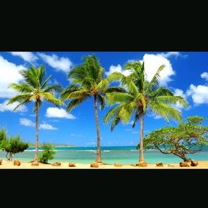 Meet your Posher, Franki