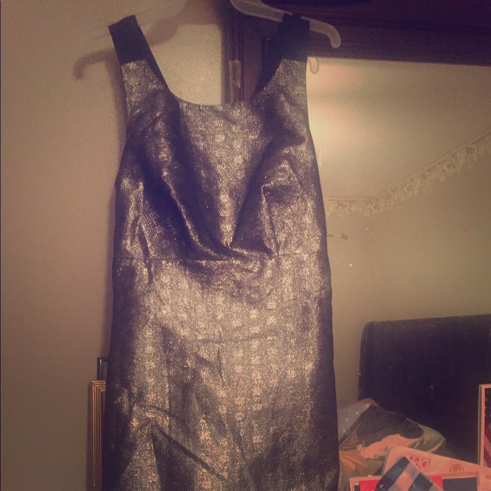 Micheal Kors dress; barely worn