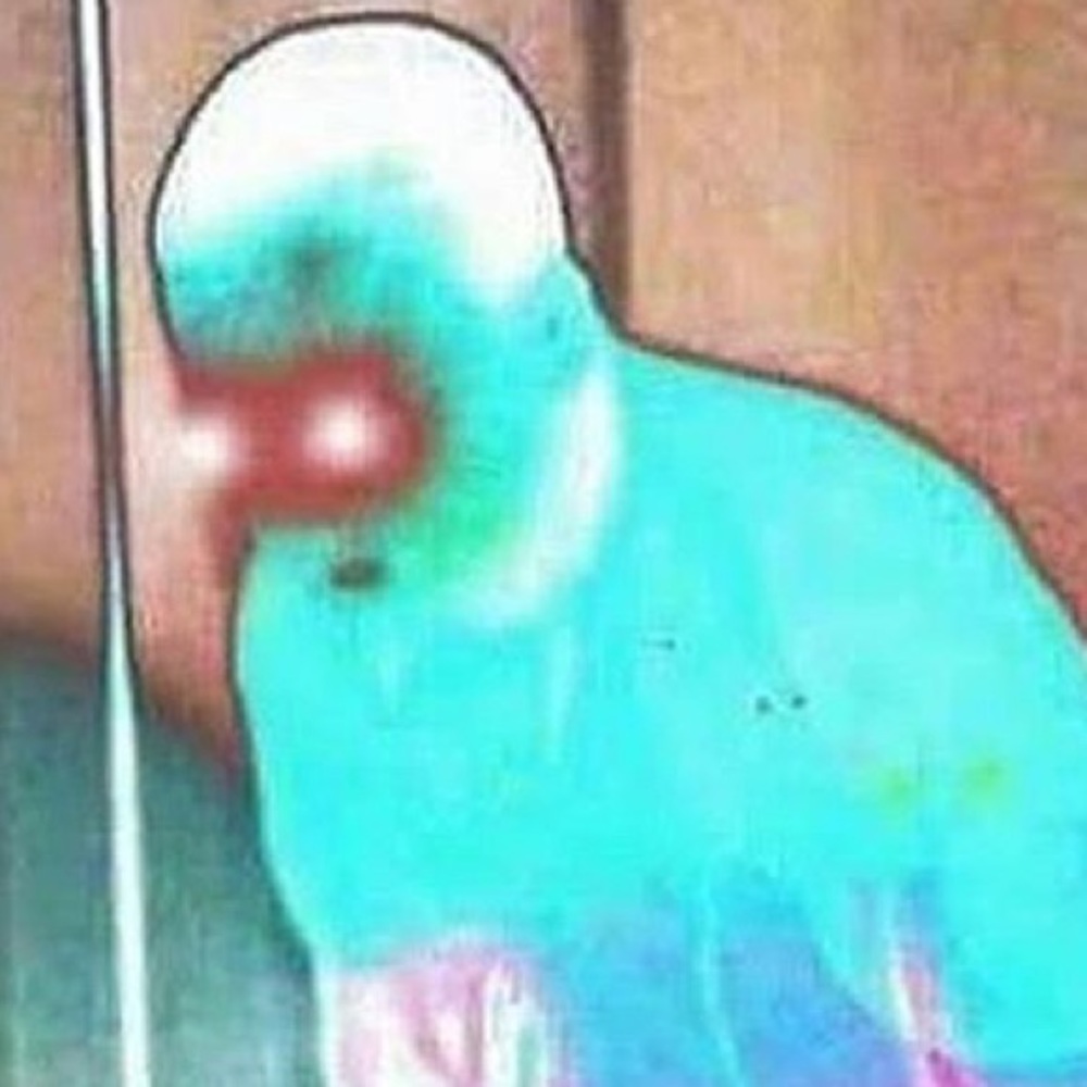 Meet your Posher, Rach