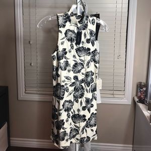 Brand New Dress cream/bkk