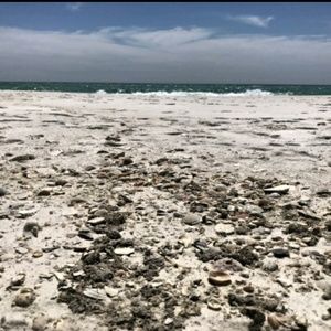 Meet your Posher, Destiny