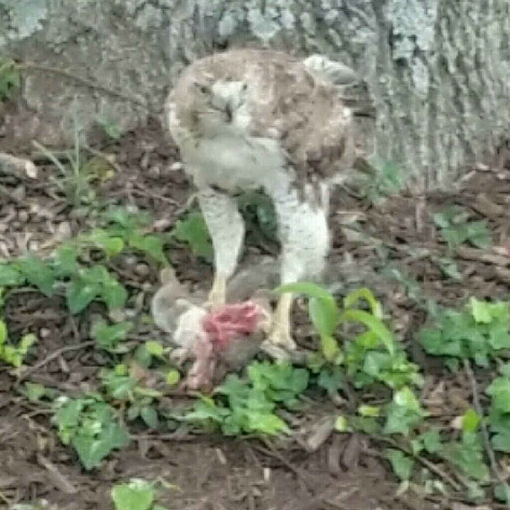 Meet your Posher, Quintin