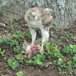 Meet your Posher, Quintin